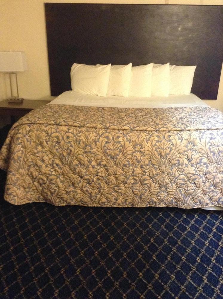 Regency Inn & Suites ويست سبرينغفيلد المظهر الخارجي الصورة
